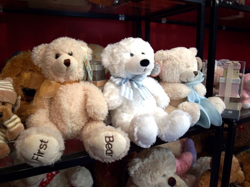 50a Kepler Street, Warrnambool VIC 3280