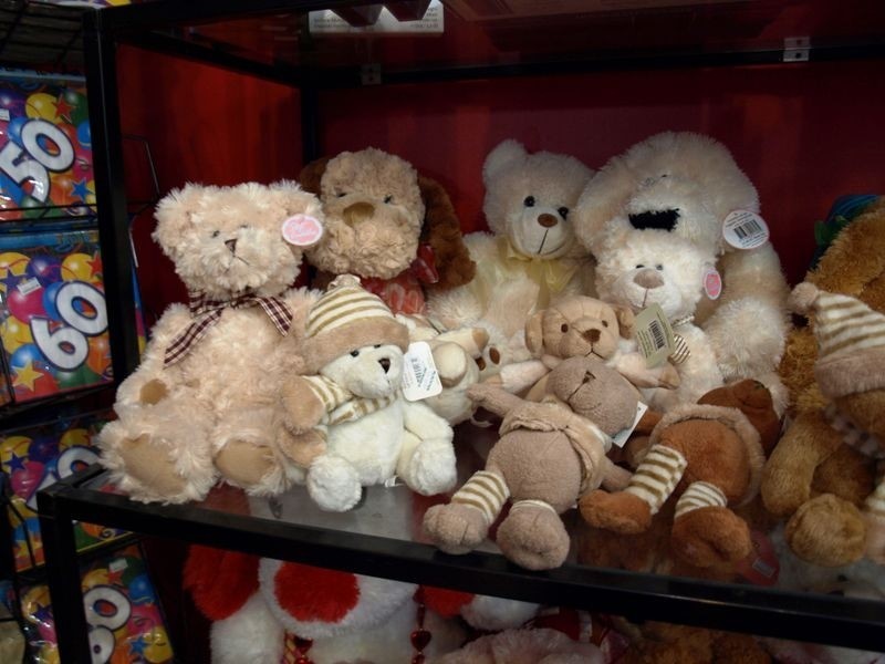 50a Kepler Street, Warrnambool VIC 3280