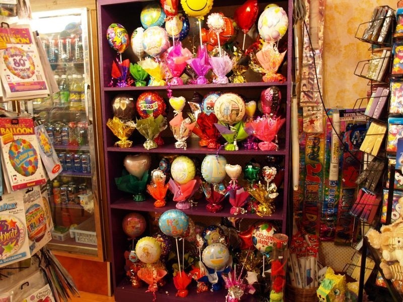 50a Kepler Street, Warrnambool VIC 3280