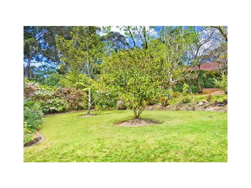 17 Pentecost Avenue (Quiet Side), St Ives NSW 2075