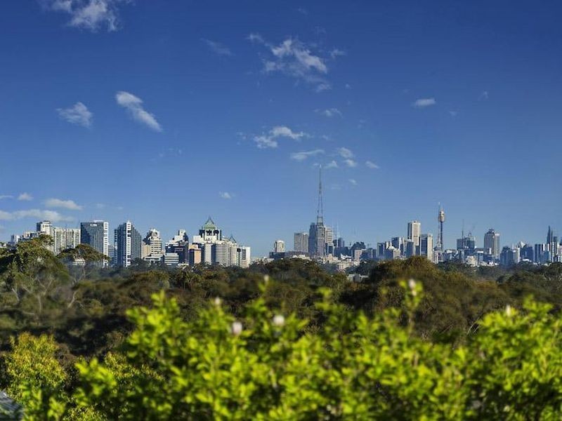 51 Telegraph Road, Pymble NSW 2073