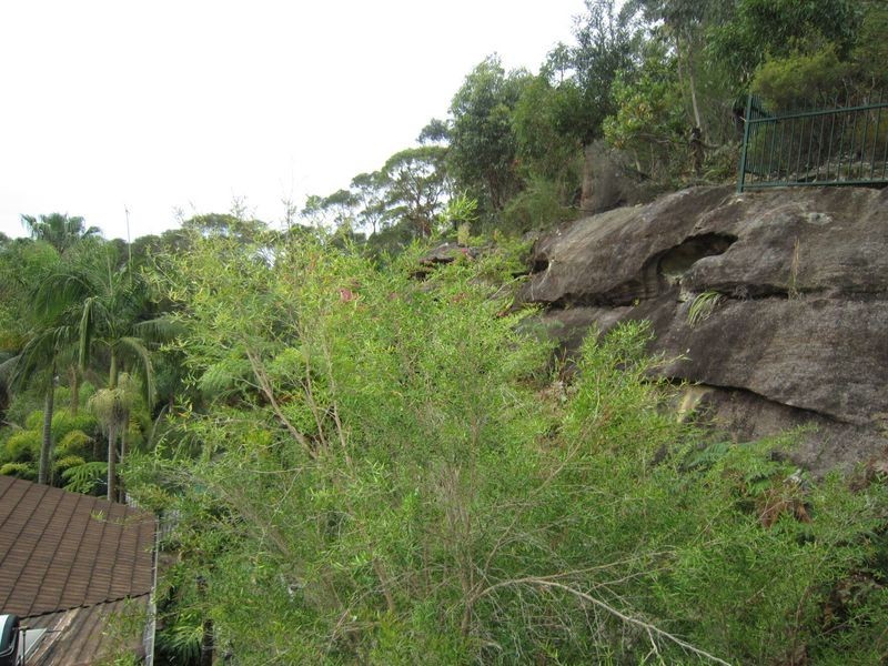 59A Waipori Street, St Ives NSW 2075