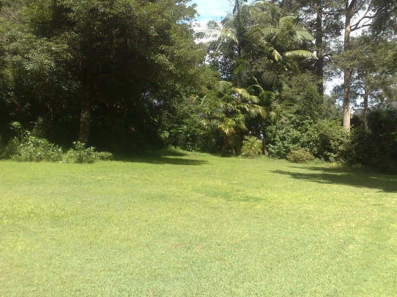 16 Banool Avenue, St Ives NSW 2075