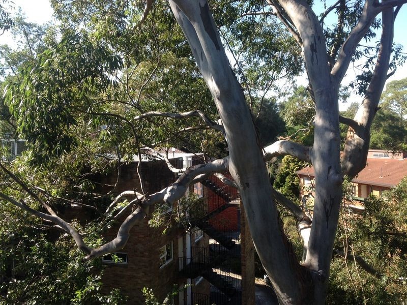 15/386 Mowbray Road, Chatswood NSW 2067