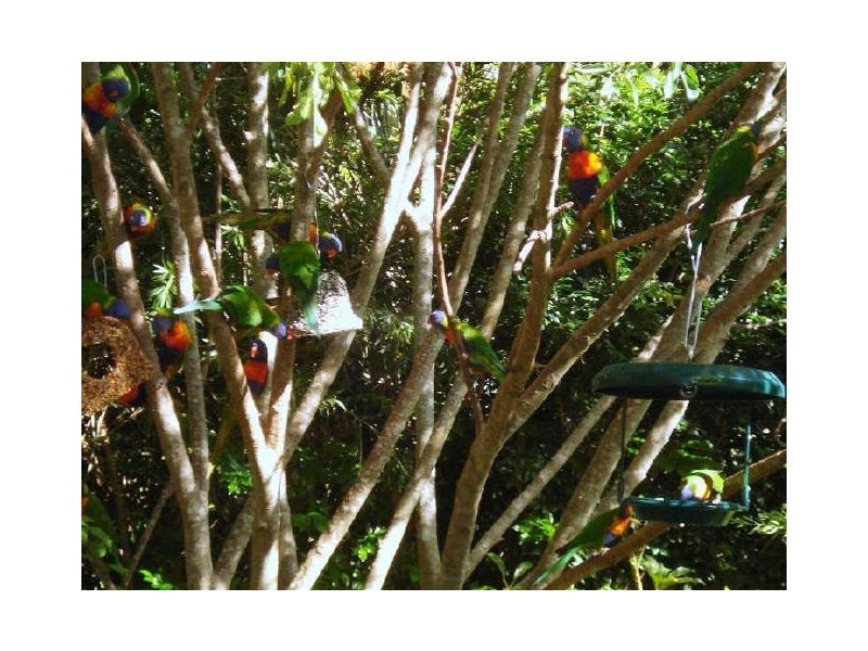 Deception Bay QLD 4508