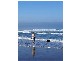 1285 Phillip Island Road, Surf Beach VIC 3922