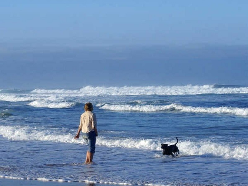 1285 Phillip Island Road, Surf Beach VIC 3922