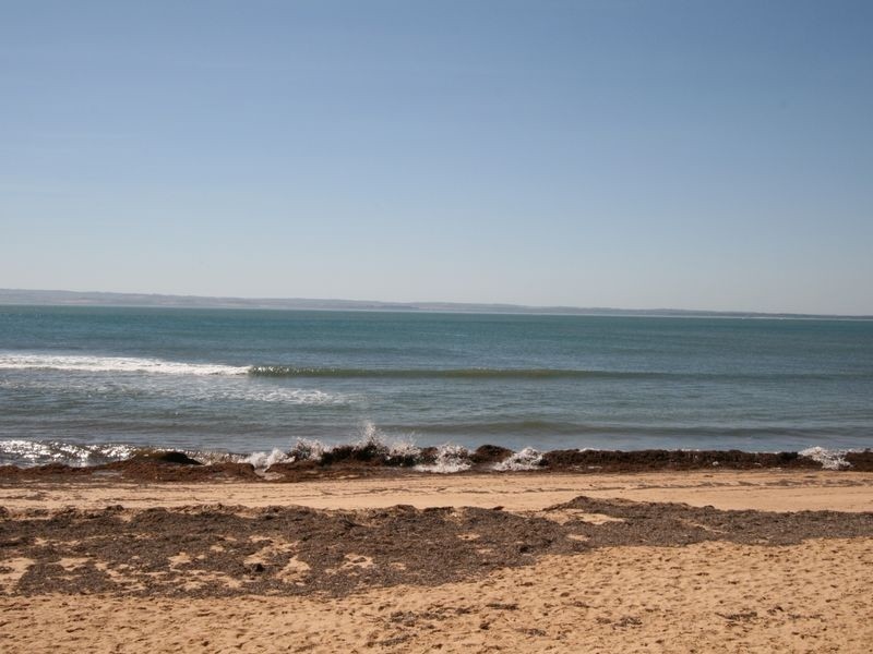 11 Cadogan Avenue, Ventnor VIC 3922