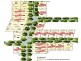 Lot 79 Lomandra Drive, Cowes VIC 3922
