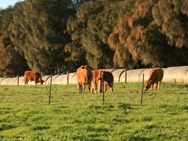 225 Cnr Gap & Back Beach Road-Phillip Island, Ventnor VIC 3922