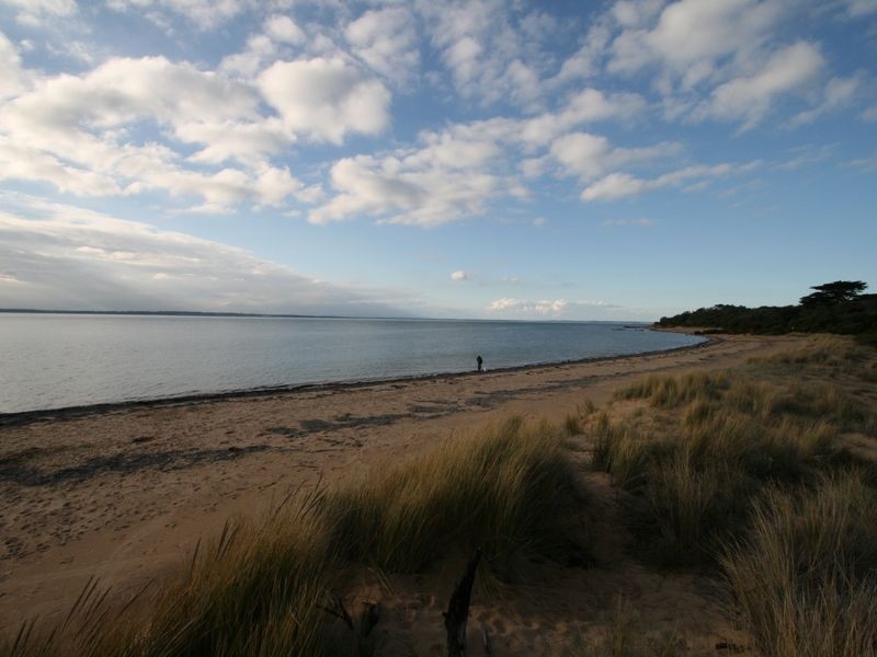 10 Boat Creek Road, Ventnor VIC 3922