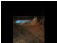 201 Ventnor Beach Road, Ventnor VIC 3922