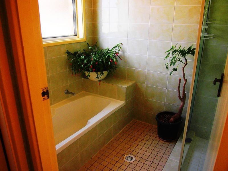 9 Paroo Cl, St Clair NSW 2759