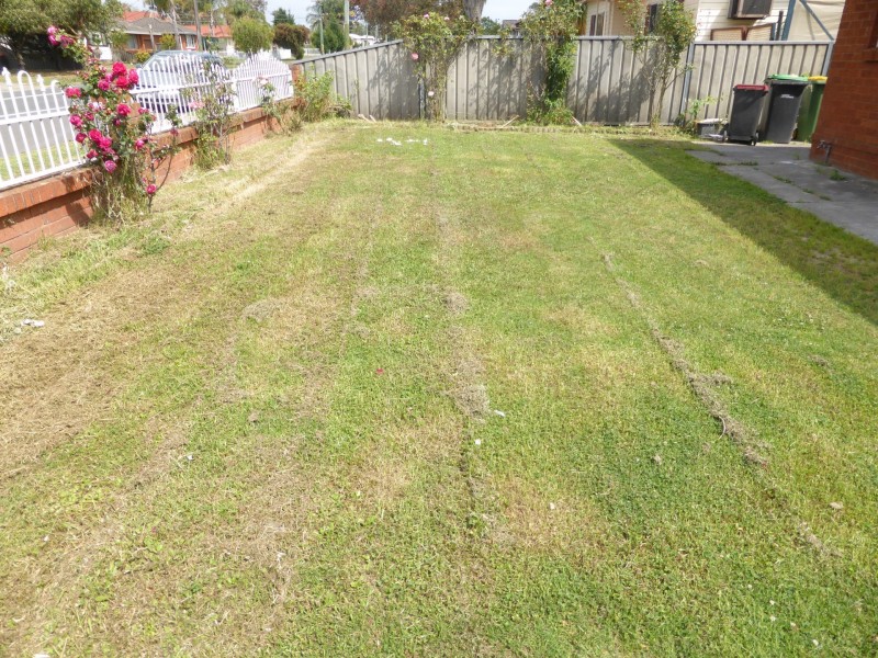 111 Carpenter Street, Colyton NSW 2760