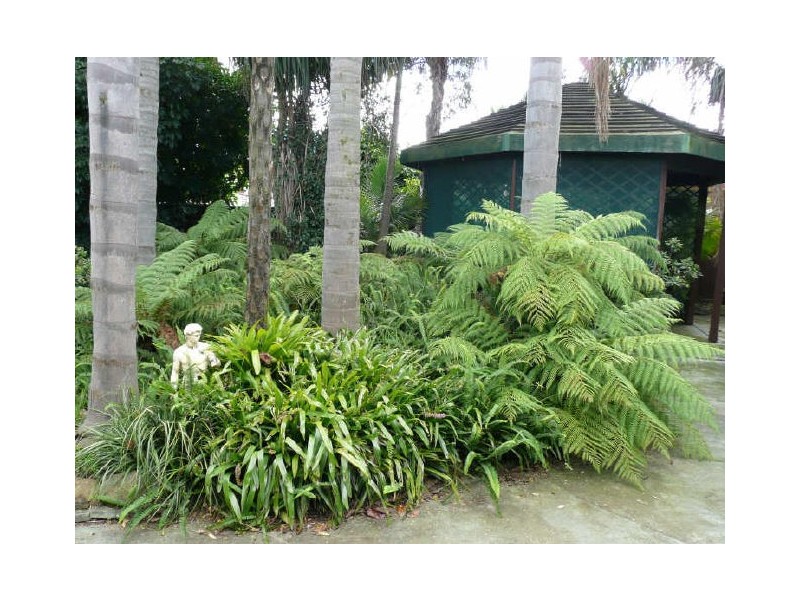 5 Strauss Road, St Clair NSW 2759