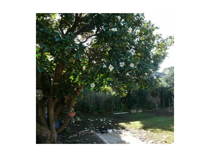 57 Morris Street, St Marys NSW 2760