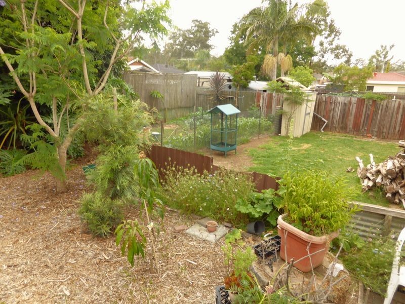 6 Hoad Place, Shalvey NSW 2770