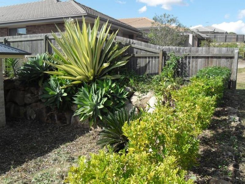 9 Guerin Court, Collingwood Park QLD 4301