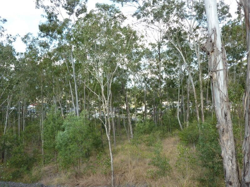 36 Trevor Street, Bellbird Park QLD 4300