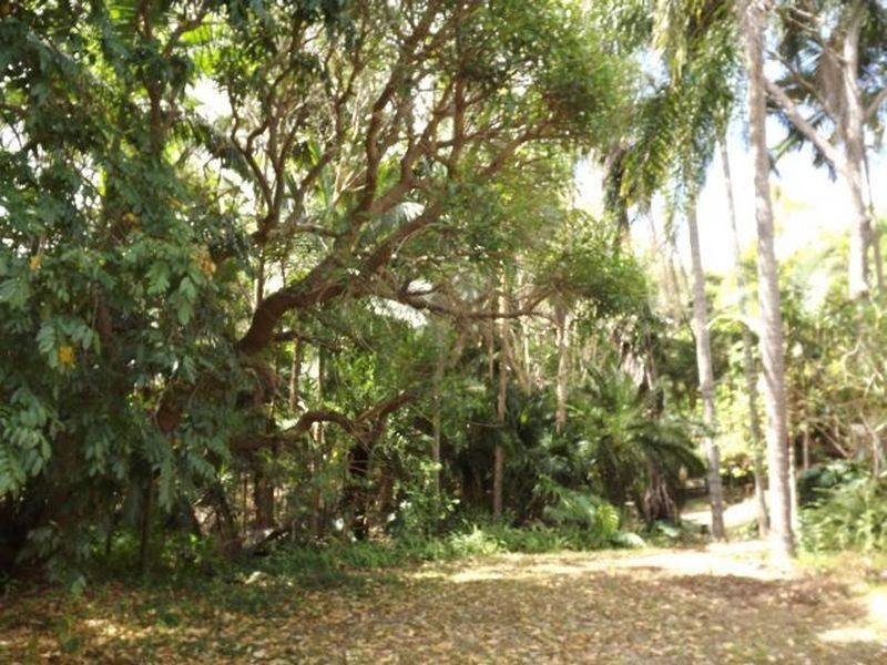 51 Cairns Road, Camira QLD 4300