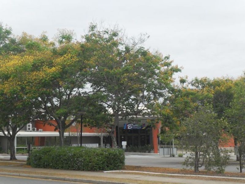 18 Sophie Street, Raceview QLD 4305
