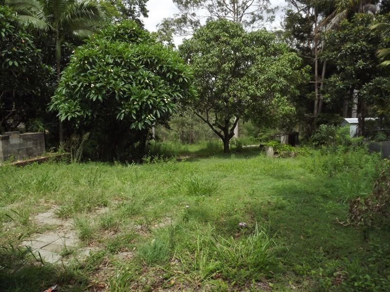 319 Old Logan Road, Camira QLD 4300