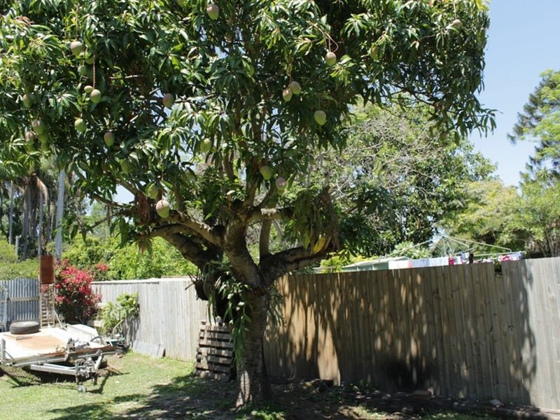 7 Karina Street, Gailes QLD 4300