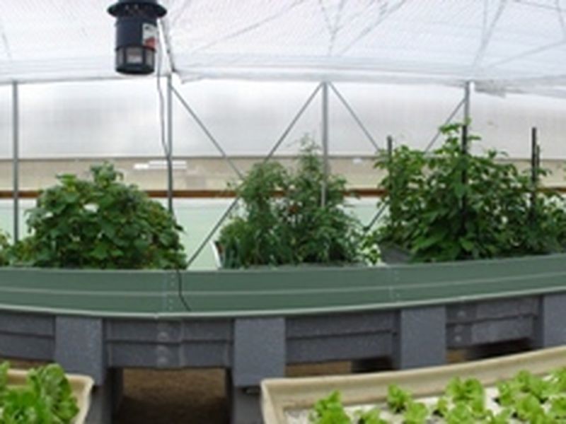 71 Nerreman Road, Wivenhoe Pocket QLD 4306