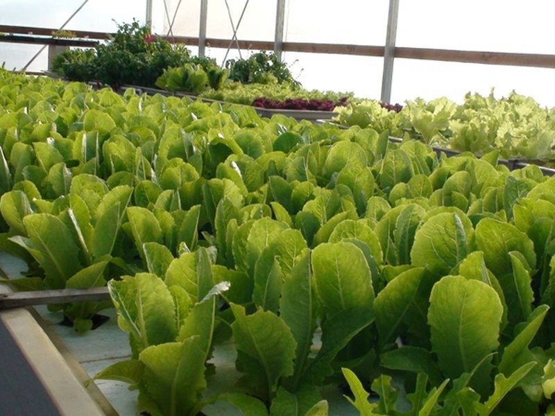 71 Nerreman Road, Wivenhoe Pocket QLD 4306