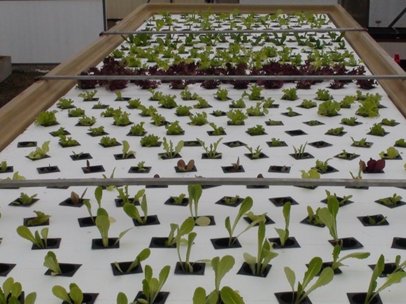 71 Nerreman Road, Wivenhoe Pocket QLD 4306