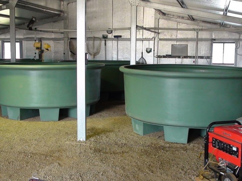 71 Nerreman Road, Wivenhoe Pocket QLD 4306