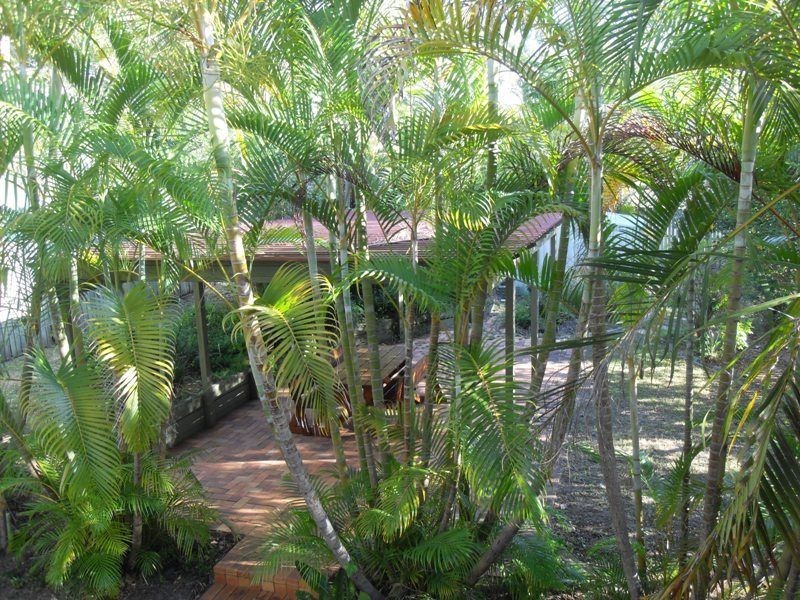 4 Iris Street, Gailes QLD 4300