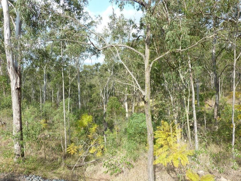 20 Brittains Road, Bellbird Park QLD 4300
