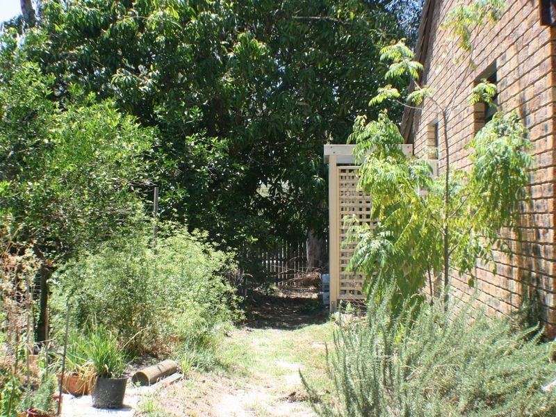 15 Boda Street, Camira QLD 4300