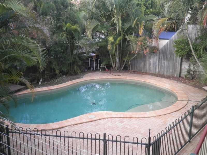 8 Kale Street, Springfield QLD 4300