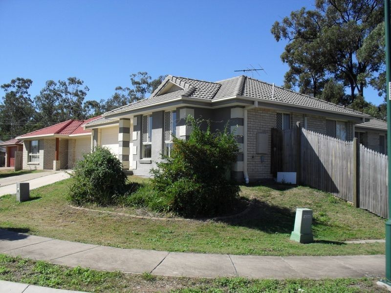 53 Tone Drive, Collingwood Park QLD 4301