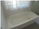 5 Willowtree Drive, Flinders View QLD 4305