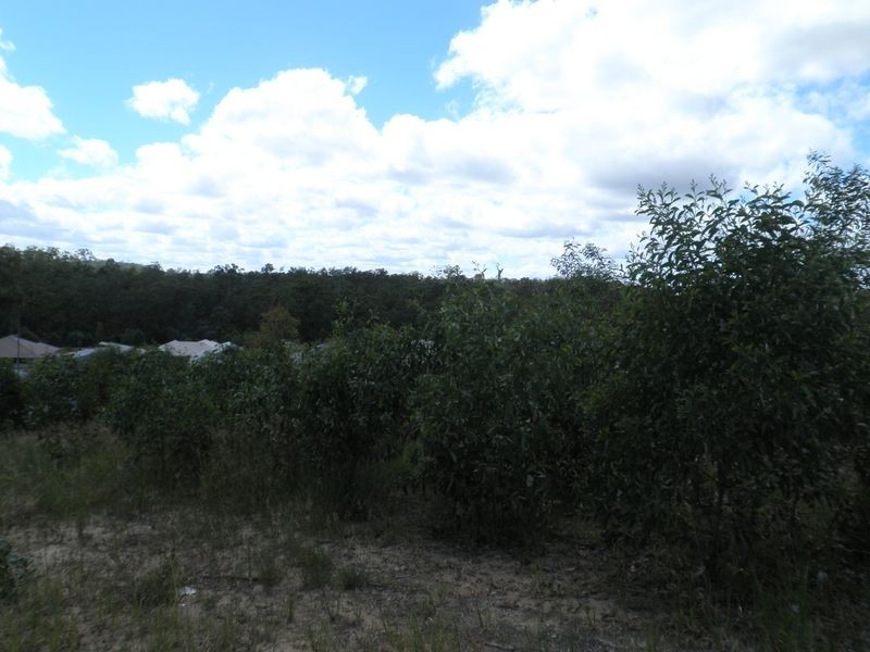 14 Aristotle Avenue, Augustine Heights QLD 4300