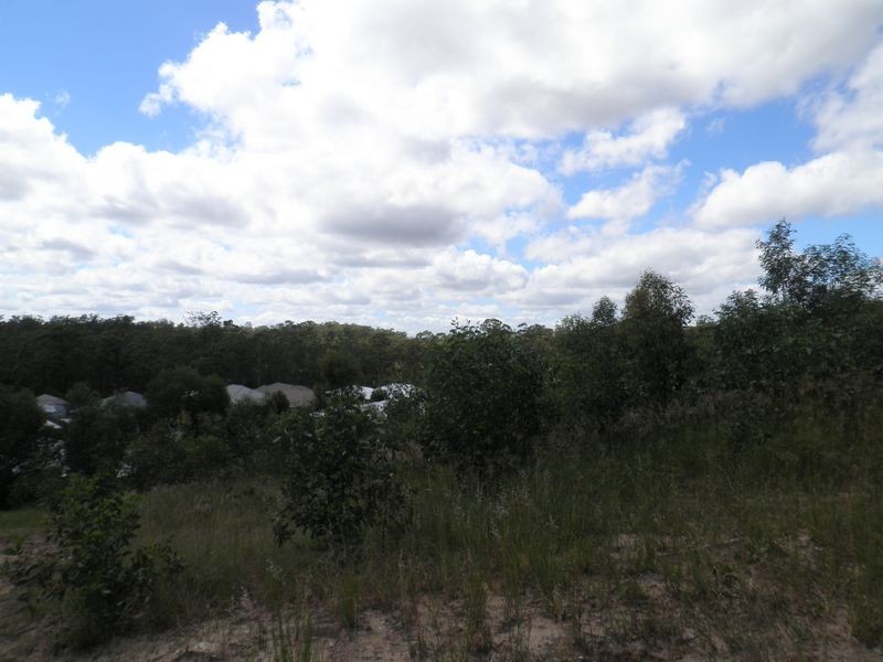 14 Aristotle Avenue, Augustine Heights QLD 4300