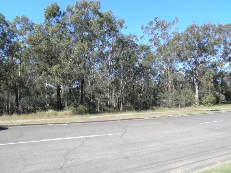 41 Lawrie Drive, Collingwood Park QLD 4301