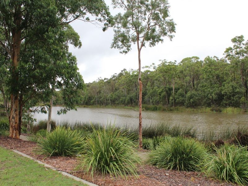 16 Cascades Street, Springfield Lakes QLD 4300