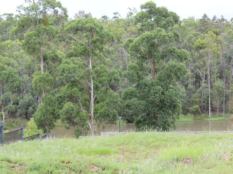 16 Cascades Street, Springfield Lakes QLD 4300