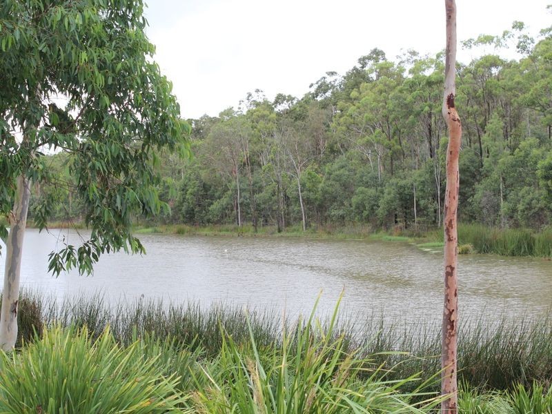 16 Cascades Street, Springfield Lakes QLD 4300
