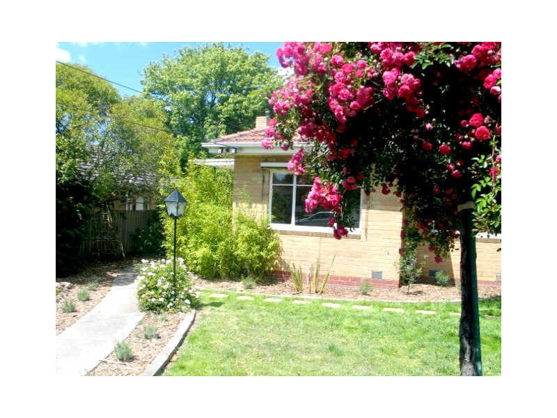 542 Middleborough Road, Blackburn North VIC 3130