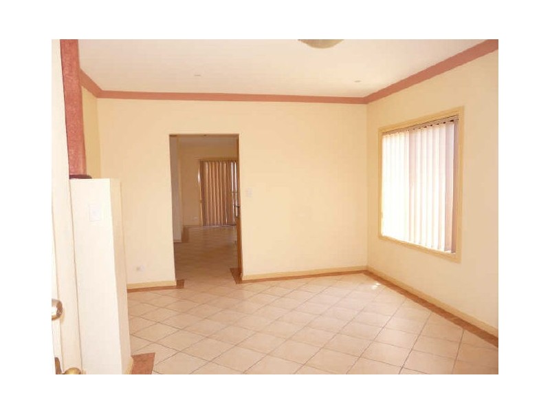 26 Burton Ave, Chester Hill NSW 2162