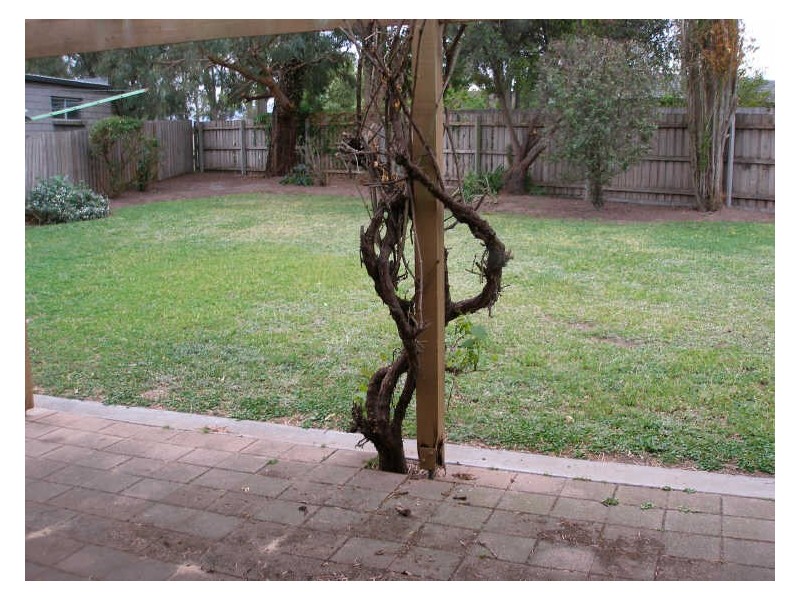 15 Natalie Court, Sale VIC 3850