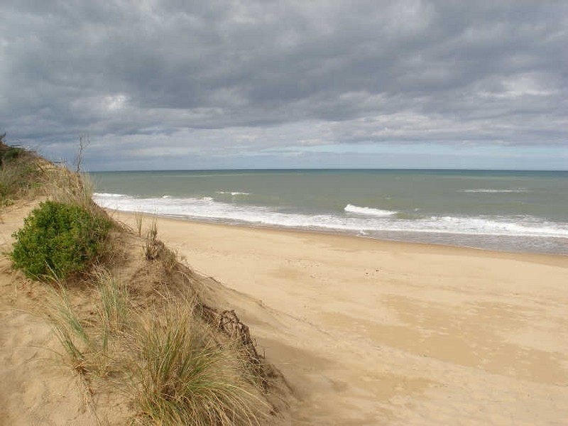 Lot 254 Grenfell Drive, The Honeysuckles VIC 3851