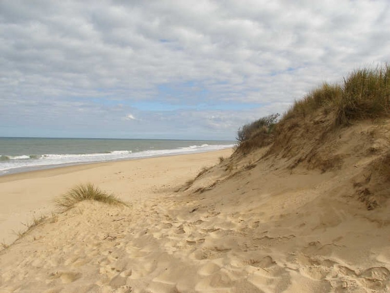 Lot 254 Grenfell Drive, The Honeysuckles VIC 3851