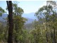 R 180 Castleburn Creek Road, Dargo VIC 3862