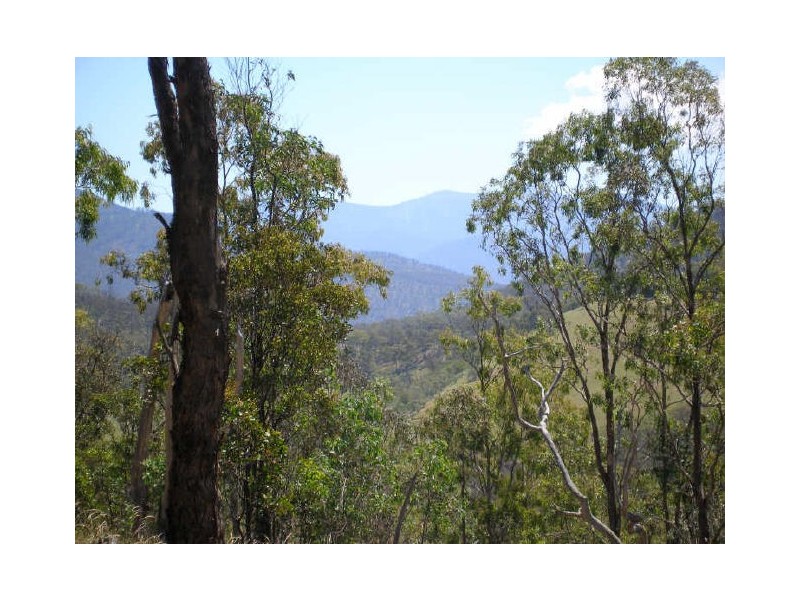R 180 Castleburn Creek Road, Dargo VIC 3862